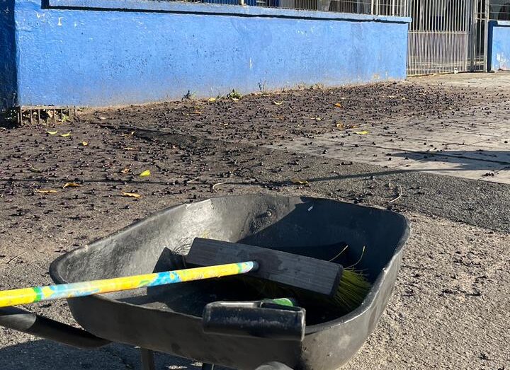 ZELADORIA NO ENTORNO DA ESCOLA MUNICIPAL OSVALDO CRUZ E PLANTAÇÕES DE MAIS FLORES NA AV. SÃO JORGE.