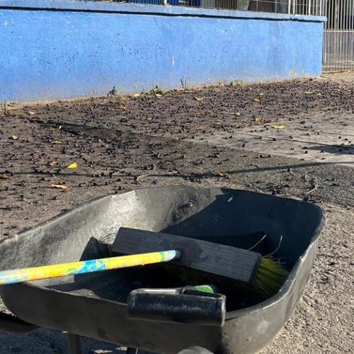 ZELADORIA NO ENTORNO DA ESCOLA MUNICIPAL OSVALDO CRUZ E PLANTAÇÕES DE MAIS FLORES NA AV. SÃO JORGE.