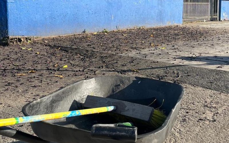 ZELADORIA NO ENTORNO DA ESCOLA MUNICIPAL OSVALDO CRUZ E PLANTAÇÕES DE MAIS FLORES NA AV. SÃO JORGE.