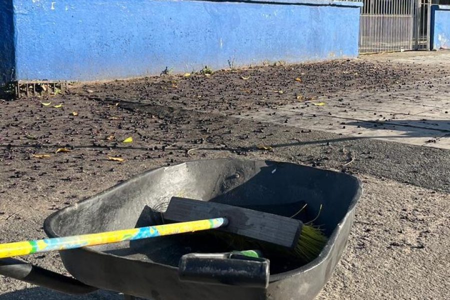 ZELADORIA NO ENTORNO DA ESCOLA MUNICIPAL OSVALDO CRUZ E PLANTAÇÕES DE MAIS FLORES NA AV. SÃO JORGE.