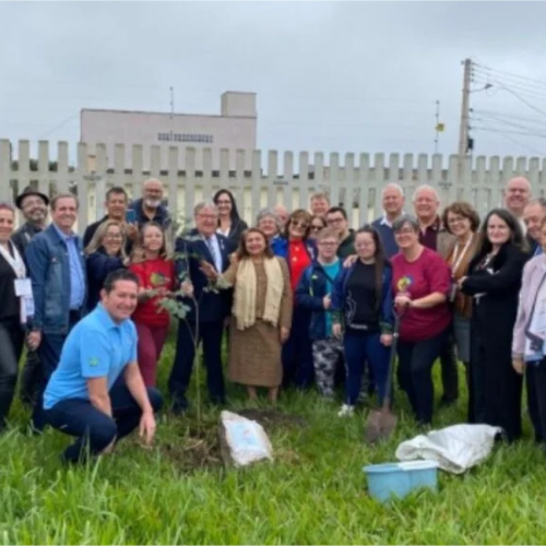 Pedra marca o plantio de árvore que simboliza a 64ª Conferência do Rotary Distrito 4680 – UMA DOCE CONFERÊNCIA